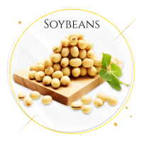 12. spoybeans