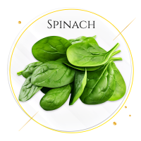 14. spinach