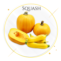 16. squash