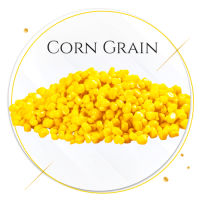 18 corn grain