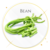 27 bean