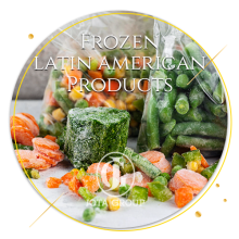 4 frozen latin american products